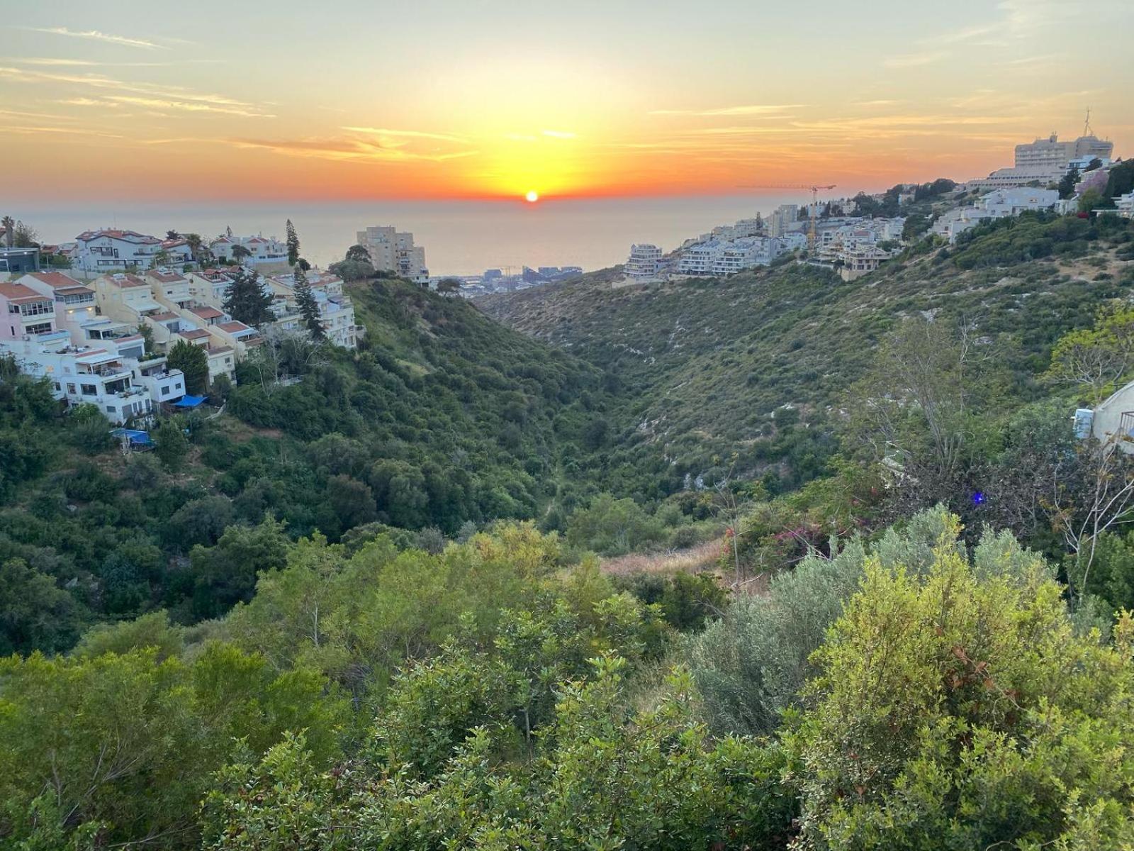 Sea View Carmel Mountain University Haifa Ngoại thất bức ảnh